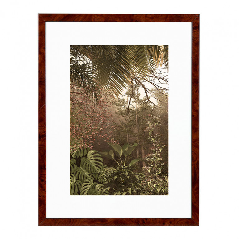 Wissellijst Wortelnoten 50x60 cm - Art Print en Passe Partout