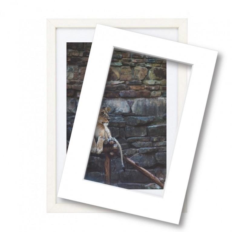 Wissellijst met passe partout 60x80cm hout wit 