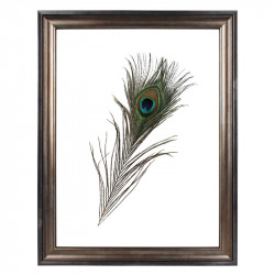Fotolijst Transparant Barok 30x40 cm