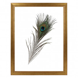 Fotolijst Transparant Goud 30x40 cm