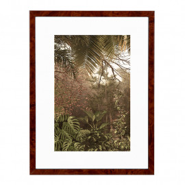 Wissellijst Wortelnoten 20x28 cm - Art Print en Passe Partout
