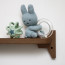 Foto Wandplank Eikenhout Donker 60 cm - Detail Sfeer