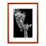 Wissellijst Kersen 50x60 cm - Art Print en Passe Partout