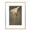 Wissellijst Champagne 60x80 cm - Art Print en Passe Partout