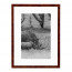 Wissellijst Wortelnoten 20x25 cm - Art Print en Passe Partout