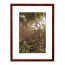 Wissellijst Wortelnoten 50x60 cm - Art Print en Passe Partout